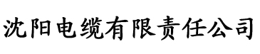 大网站大黄瓜电缆厂logo